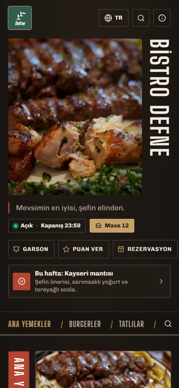 Antrikot tasarımı
